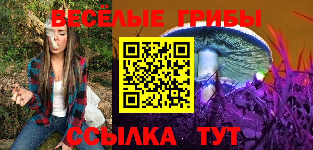 Горно-Алтайск  Галлюциногенные грибы GOLDEN TEACHER  Галлюциногенные грибы MAGIC MUSHROOMS  Вход с VPN 